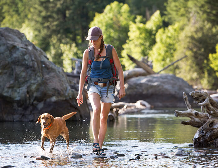 Woman and dog hiking on water