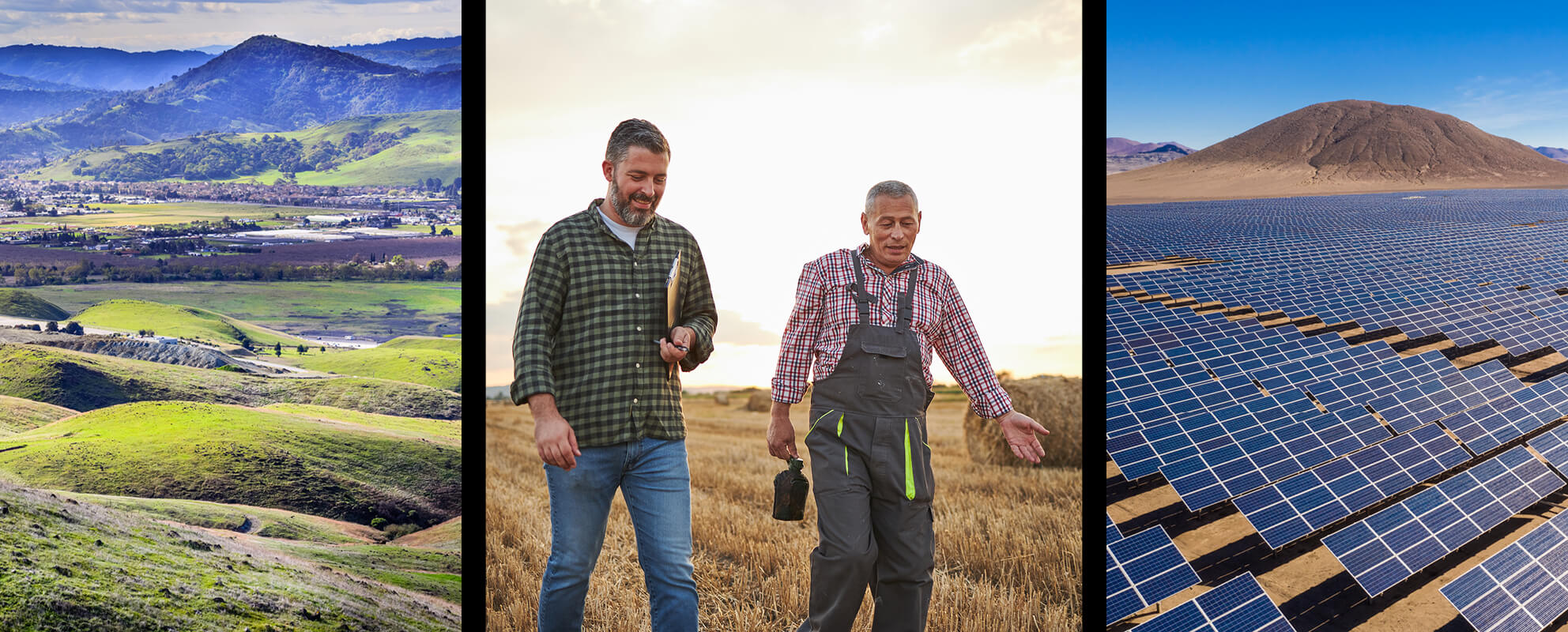 Men walking in field, solar panels on right, field on left